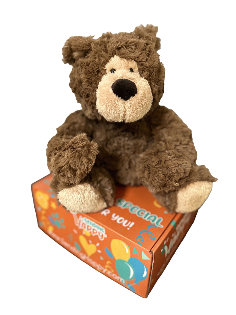Baxter Bear