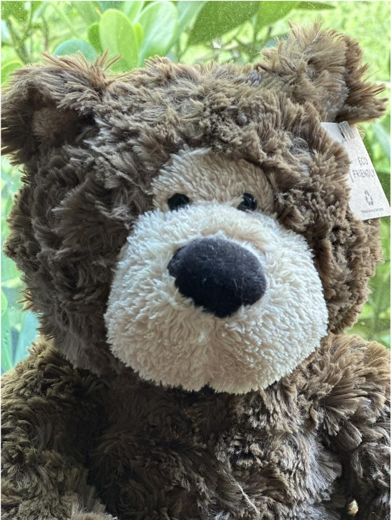 Baxter Bear
