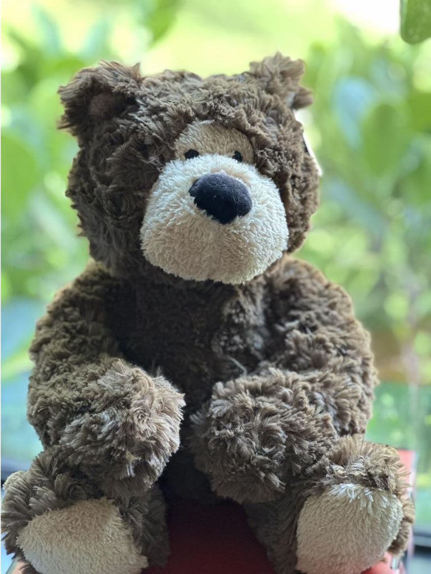 Baxter Bear