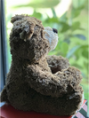 Baxter Bear