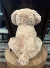 Dallas Dog