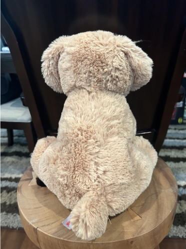 Dallas Dog