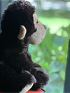 Miles Monkey