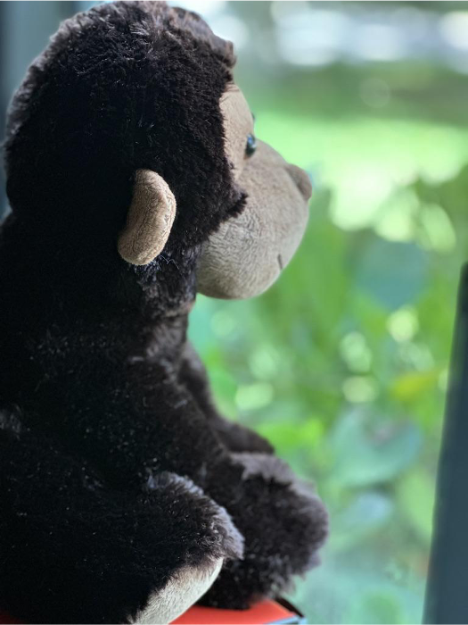 Miles Monkey
