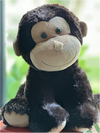 Miles Monkey