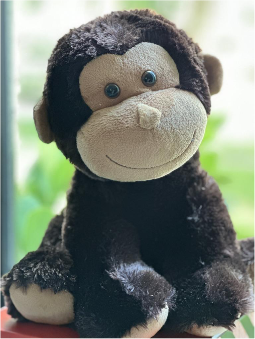 Miles Monkey