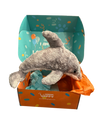 Della Dolphin