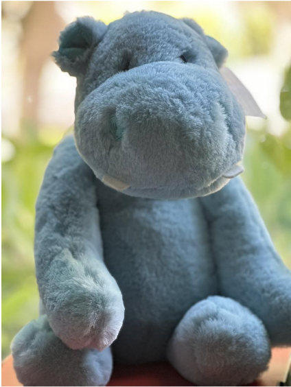 Huntley Hippo