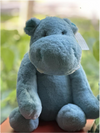Huntley Hippo