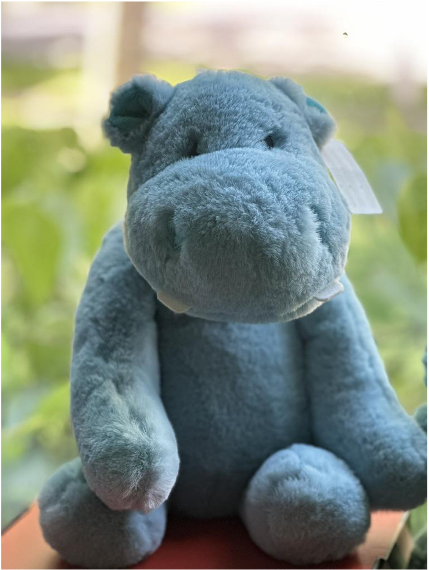 Huntley Hippo